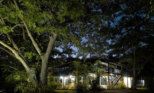 Hotel Musket Cove Island Resort