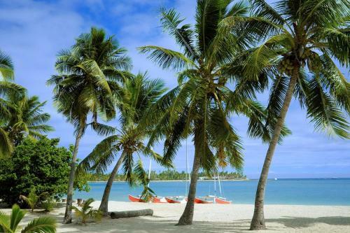 Hotel Musket Cove Island Resort
