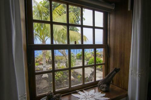 Casa Los Mangos