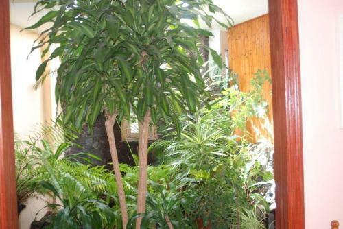 Vivienda Vacacional Casa Rosi