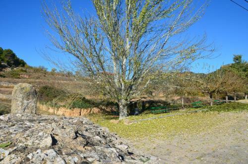 Agroturismo Casa Llovet