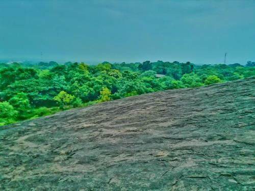 Hotel Dambulla Wilderness World
