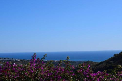 Apartamento El Quinto Pino, Frigiliana