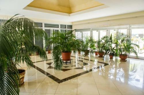 Apartamento Sol Y Playa Con Piscina Y Wifi