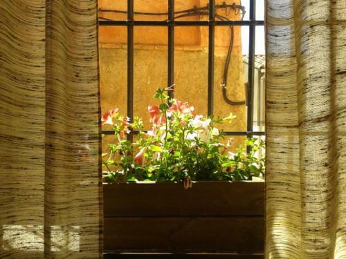 Agroturismo Apartamentos Tur�sticos Pepe