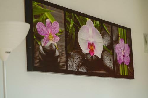 Apartamento Casa Rural Sierras de Gaucin