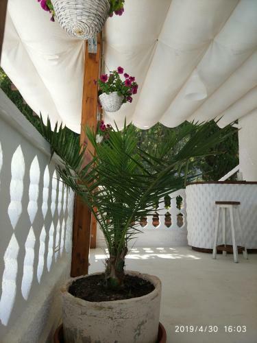 Apartamento Milka Gandia Marchuquera