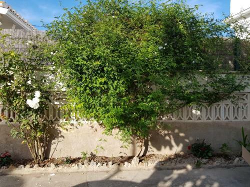 Exclusive Apartment - Playa de Marenys de Rafalcaid