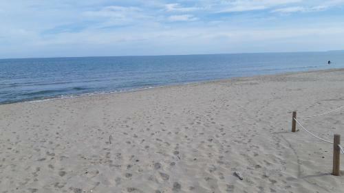Exclusive Apartment - Playa de Marenys de Rafalcaid