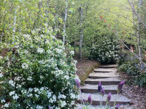 Villa Birches Luxury Spa Chalets
