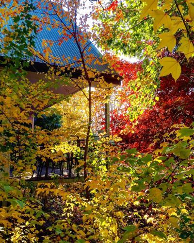 Villa Birches Luxury Spa Chalets