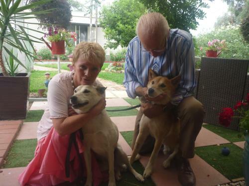 Must Love Dogs B&B & Self Contained Cottage