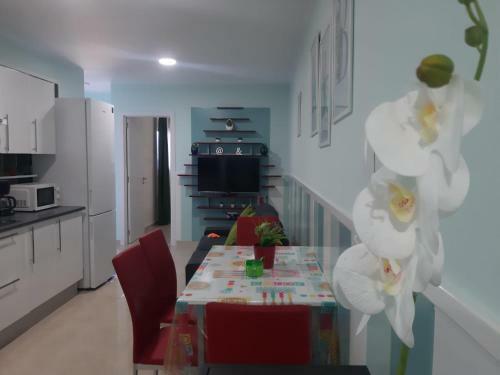 Apartamento La Gomera