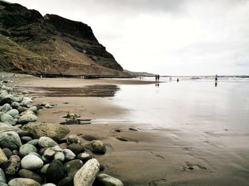 Circo Wave. Un Sue�o En El Mar.