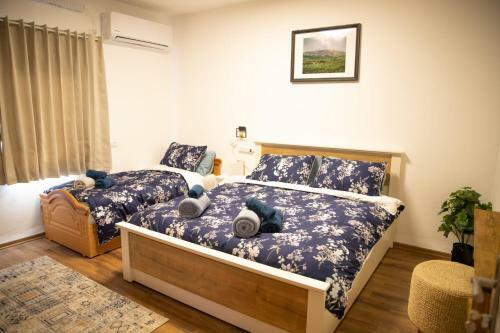 Star Suite - Rural Experience - Northeast Point