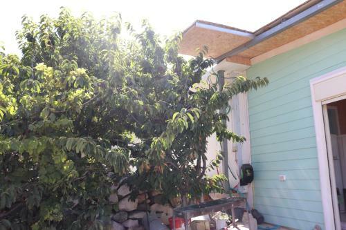 Apartamento ???? ???? ????
