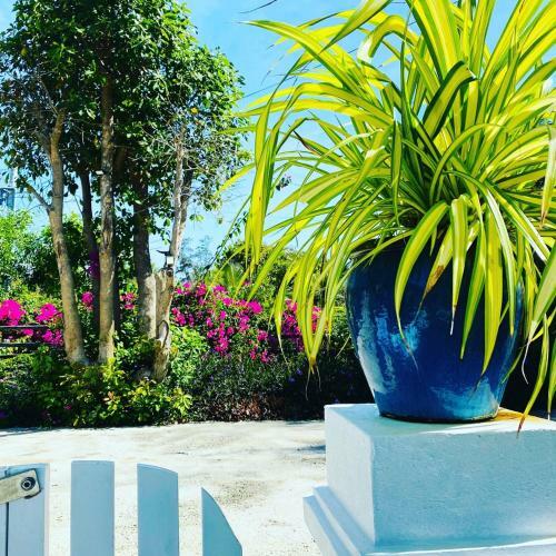Apartamento Coco Beach House