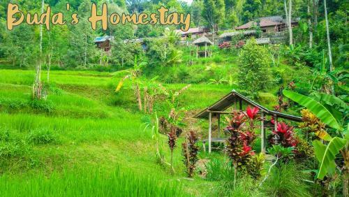 Buda's Homestay Lemukih