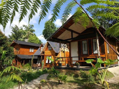 Lodge Canyon Jungle Stay