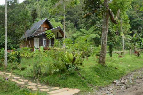 Lodge Canyon Jungle Stay