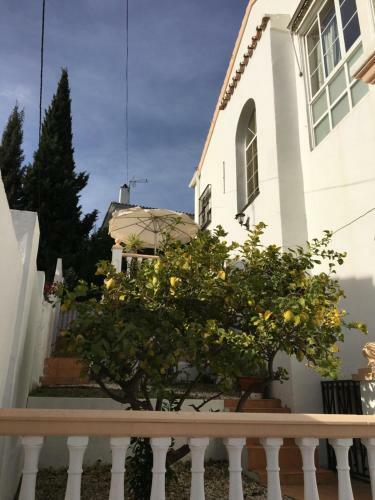 Villa Casa Felicidad