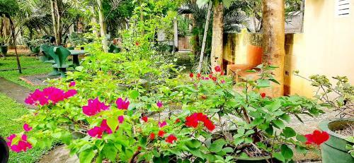 Hotel Cinnamon Garden - Hiriketiya