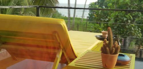 Hotel Mahi Mahi Beach Chalets