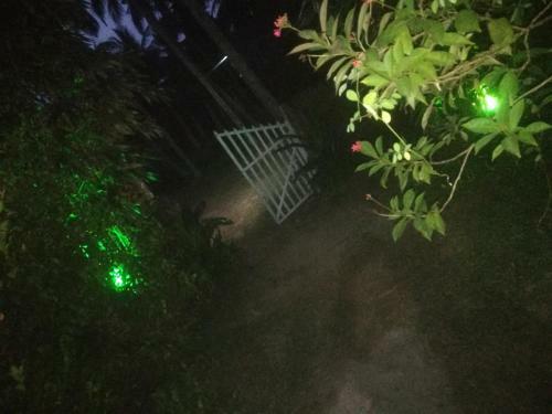 Bed & Breakfast Bamboo Home Stay Hiriketiya