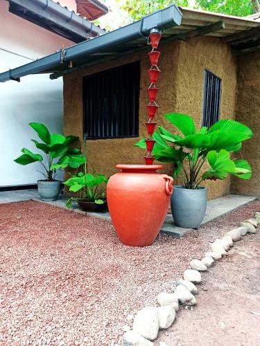 Hostal Eco Garden Hiriketiya