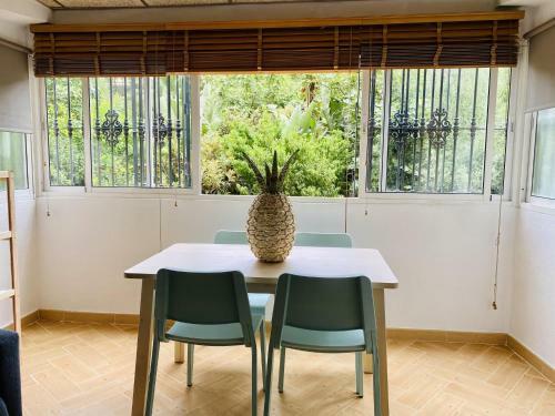 Apartamento Segunda Linea de Playa Brisa Tropical