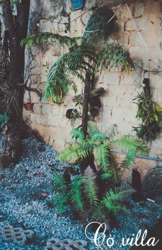 C? Villa ?� L?t
