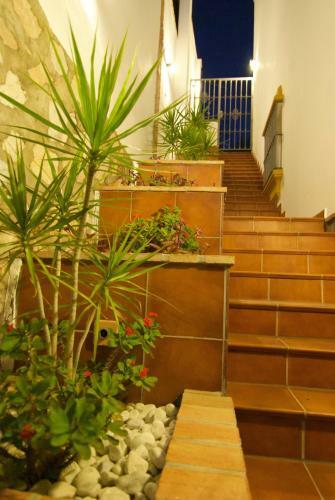 Apartamento Casa Amalia