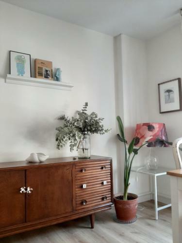 Apartamento Centro Playa