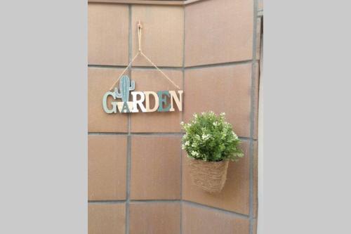 Apartamento Piso C�ntrico Con Terraza.