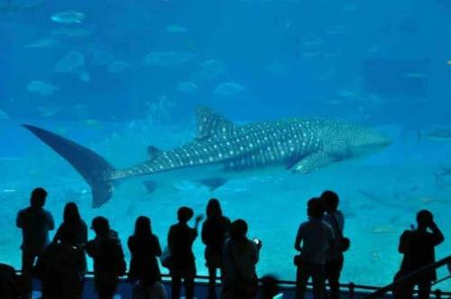Zuikaiun Okinawa - Vacation Stay 53982v