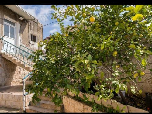 Yara Home