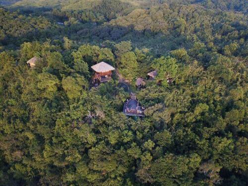Posada Sanctuaria Treehouses Busuanga