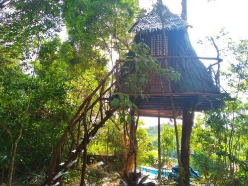 Posada Sanctuaria Treehouses Busuanga