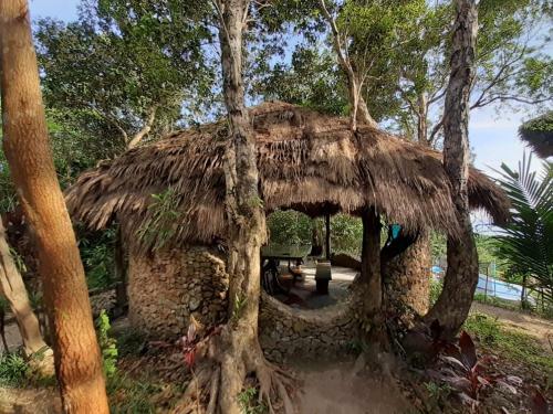 Posada Sanctuaria Treehouses Busuanga