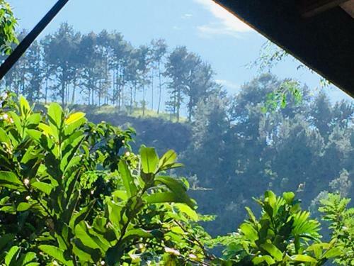 Hostal New Toropi Homestay