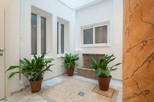 Apartamento Rosarioseis Catedral