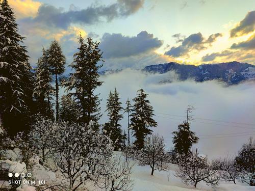 The Mountain View Cottage (Jibhi)