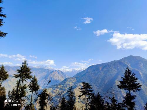 The Mountain View Cottage (Jibhi)