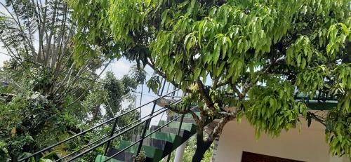Welcome Homestay