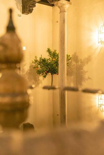 Apartamento Palacete 1620, Premium Suites, Only Adults
