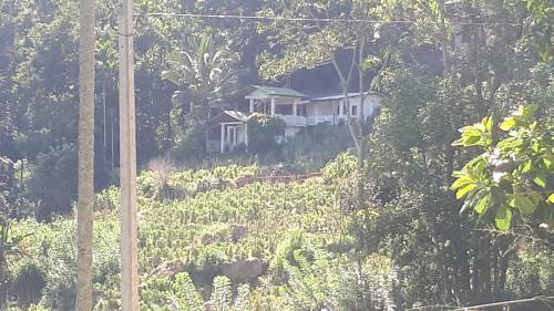 New Farmers Paradise