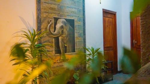 Hostal Shining Green View