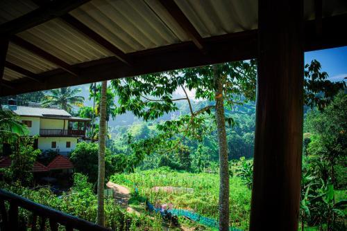 Bed & Breakfast Ella Cottage 219 V