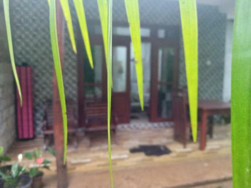 Supipi Homestay