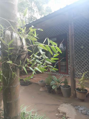 Supipi Homestay